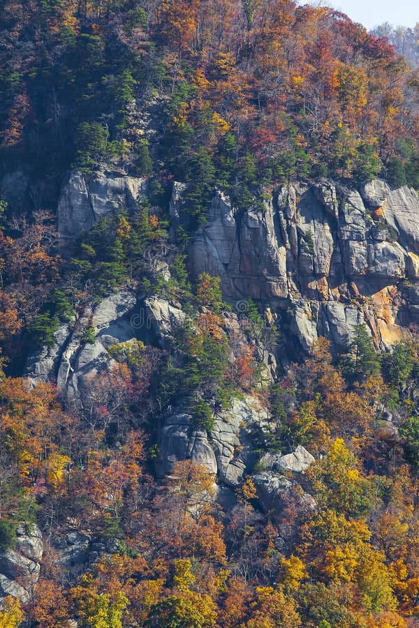 Fall foliage and rocky cliff side in the Blue Ridge Mountains of North Carolina stock image Fall foliage and rocky cliff side in the Blue Ridge Mountains of North Carolina stock image