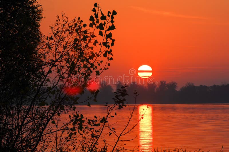 Fall forest, fog, morning, evening, bright yellow sun. Rare beau