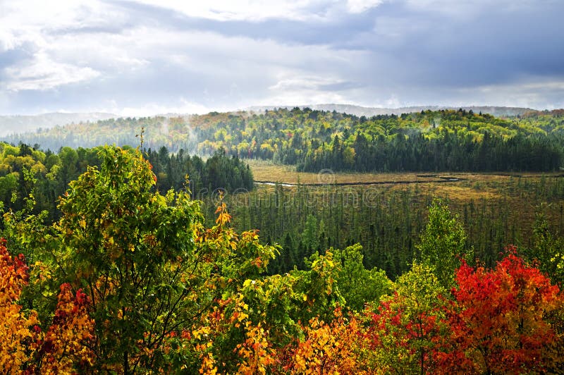 Fall forest rain storm stock photos Fall forest rain storm stock photos