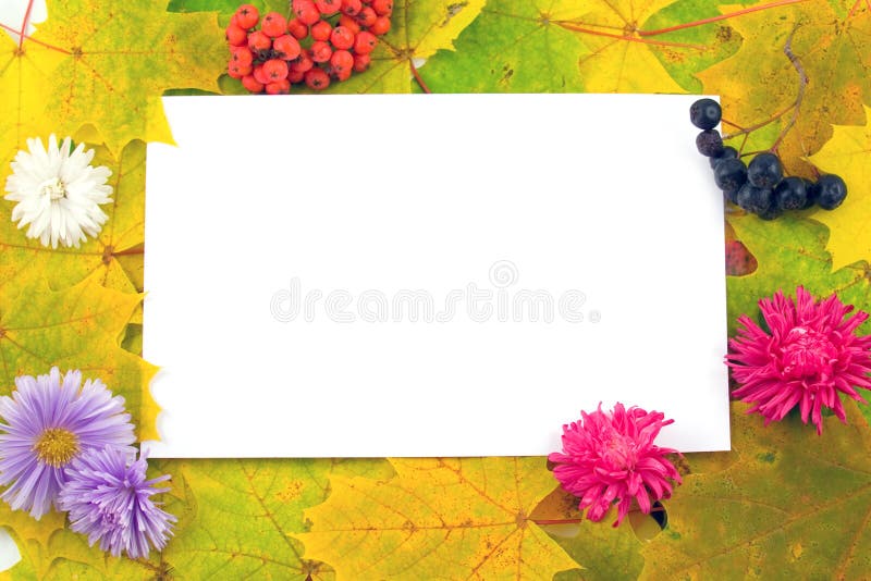 Fall frame with flowers and berries