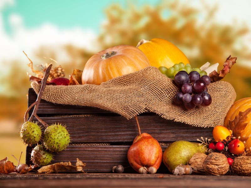 Fall Fruit and Vegetables on Wood. Thanksgiving Stock Photo - Image of ...