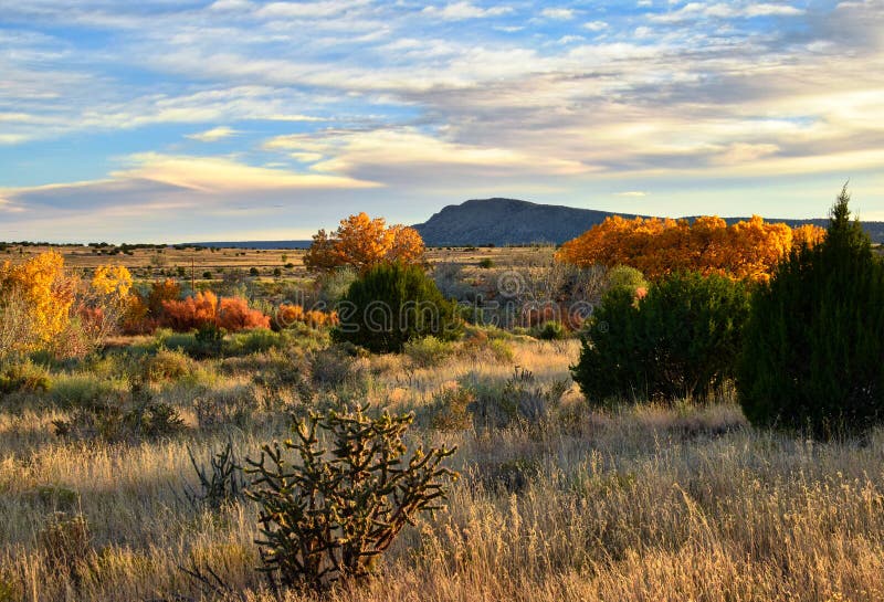 Fall in Galisteo New Mexico