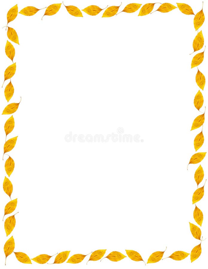 Fall Golden Elm Leaf Frame or Border