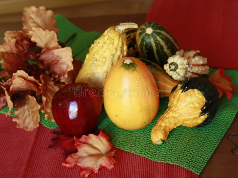 Fall gourds with leaves