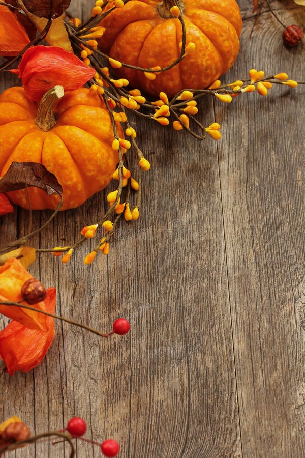 Fall and Halloween Background Stock Photo - Image of orange, fall: 60177004