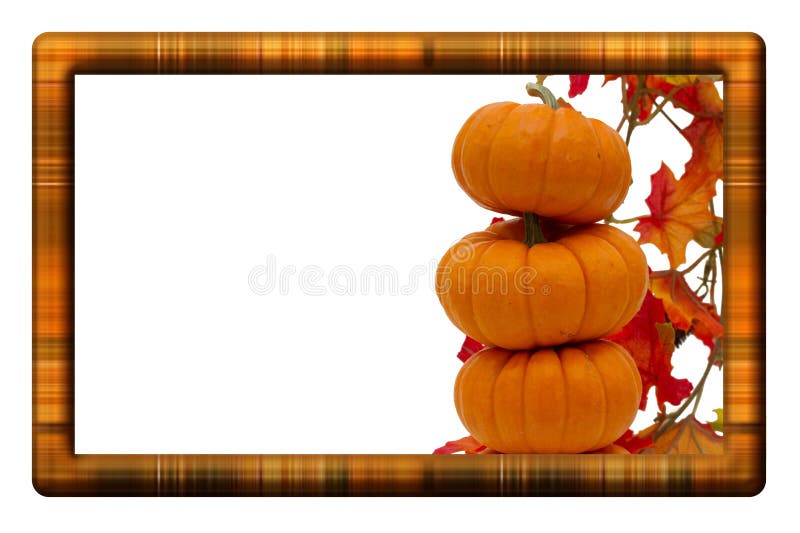Fall Harvest Border with a stack of pumpkins with fall leaves isolated on white. Autumn border fall halloween leaves pumpkins illustrations
