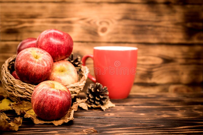 Fall harvest cornucopia. Cup of Hot apple tea for Autumn season warm drink. stock image Fall harvest cornucopia. Cup of Hot apple tea for Autumn season warm drink. stock image