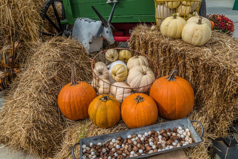 Fall harvest display stock photo. Image of harvest, nature - 7932130