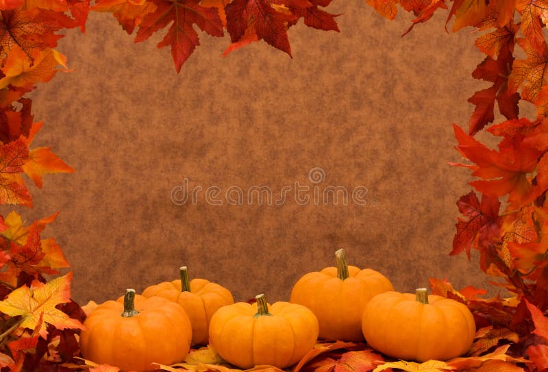 Fall Harvest Frame