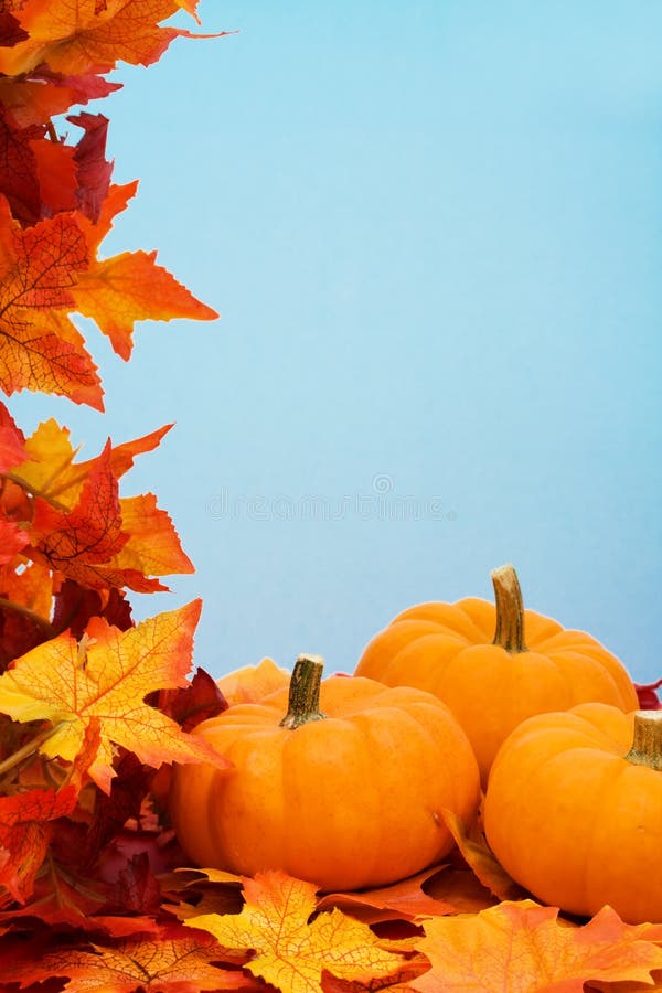 Fall Harvest Frame