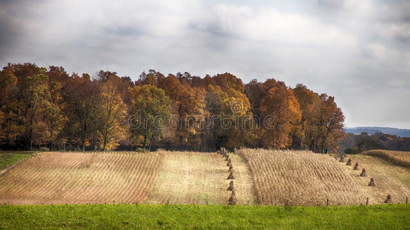 Fall harvest landscape