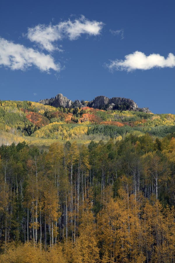 Fall-Herbstfarben in Kebler überschreiten, Colorado Amerika in Autumn Fall lizenzfreie stockfotografie Fall-Herbstfarben in Kebler überschreiten, Colorado Amerika in Autumn Fall lizenzfreie stockfotografie