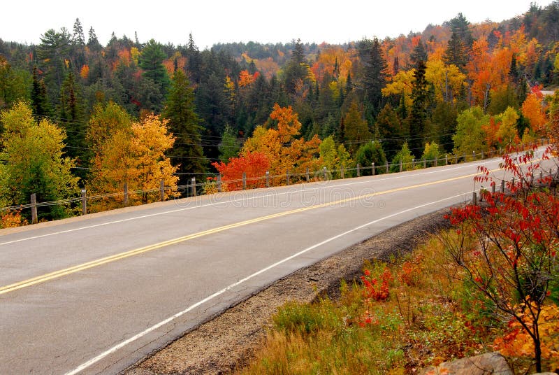 Fall highway