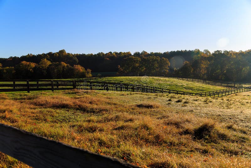 Fall horse farm in Northern Virginia. Morning sun on a horse farm in Northern Virginia, with trees, pasture, grass and fencing royalty free stock photography Fall horse farm in Northern Virginia. Morning sun on a horse farm in Northern Virginia, with trees, pasture, grass and fencing royalty free stock photography