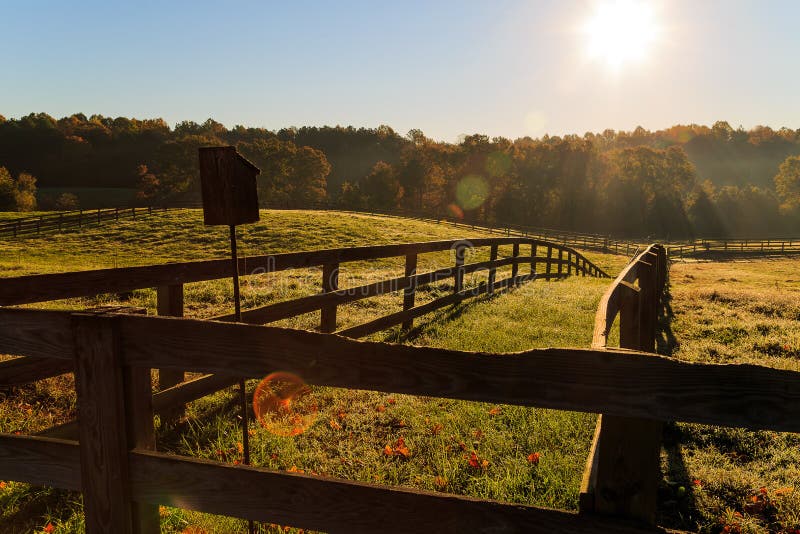 Fall horse farm in Northern Virginia. Morning sun on a horse farm in Northern Virginia, with trees, pasture, grass and fencing royalty free stock image Fall horse farm in Northern Virginia. Morning sun on a horse farm in Northern Virginia, with trees, pasture, grass and fencing royalty free stock image