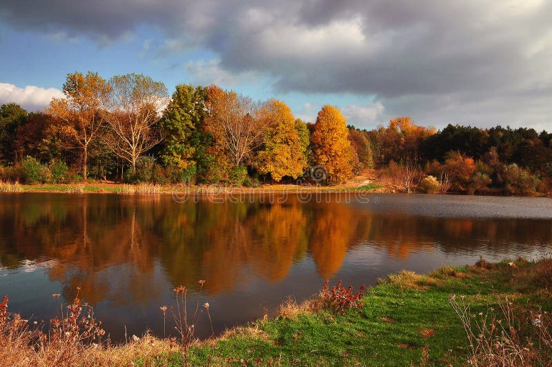 Fall landscape