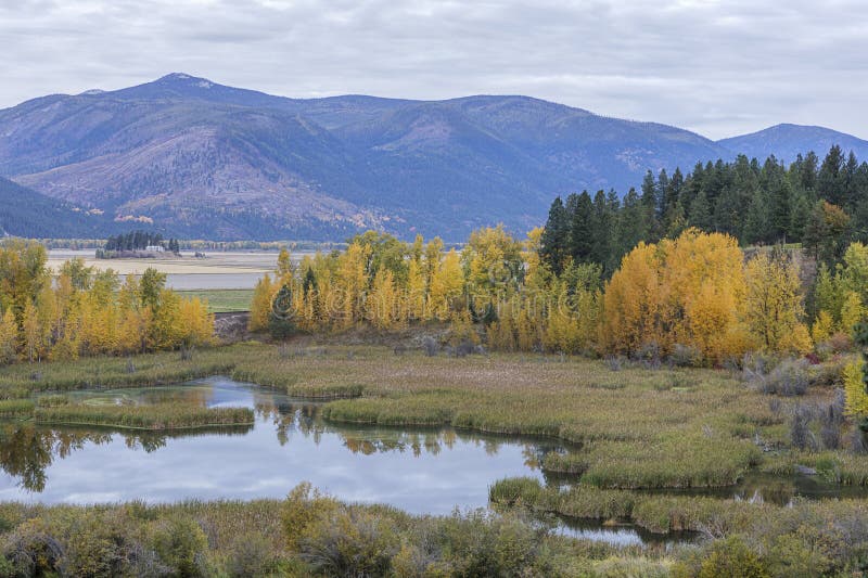 Fall landscape in Bonners Ferry, Idaho. royalty free stock image