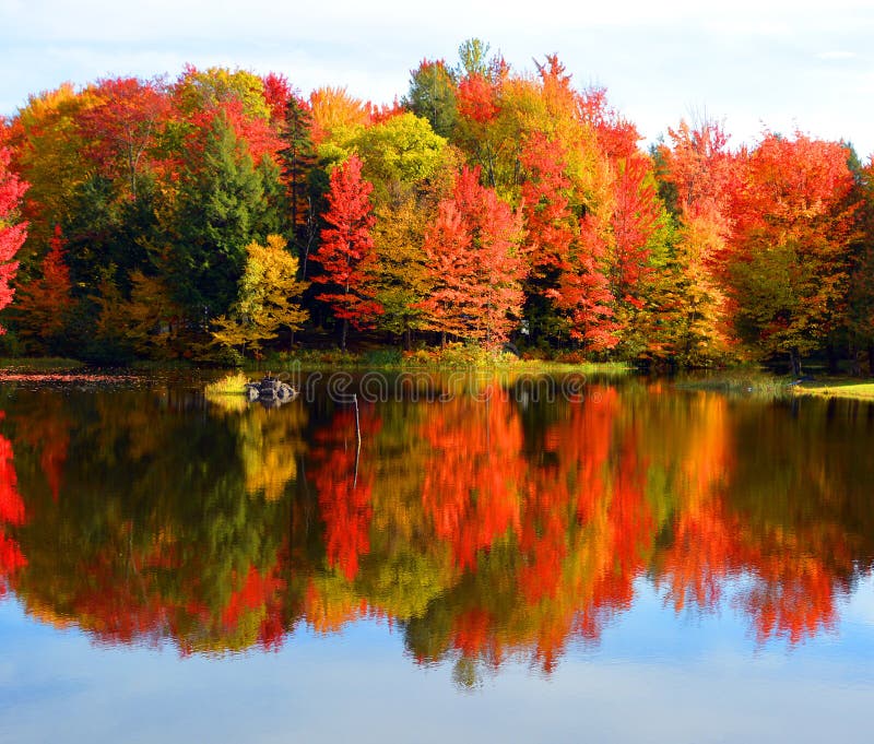 Fall Landscape Eastern Townships Stock Photo Image of leaves, nature