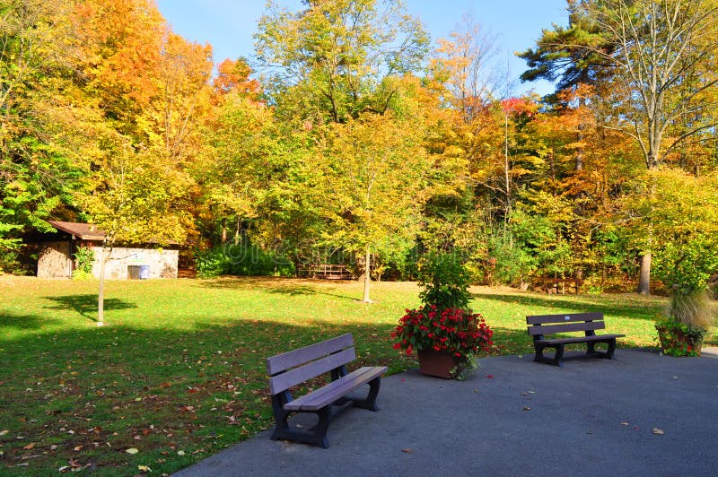 Fall Landscape, Park Benches Stock Photo Image of brown, park 27046776