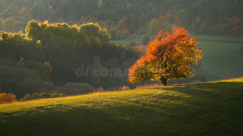 Jesenná krajina