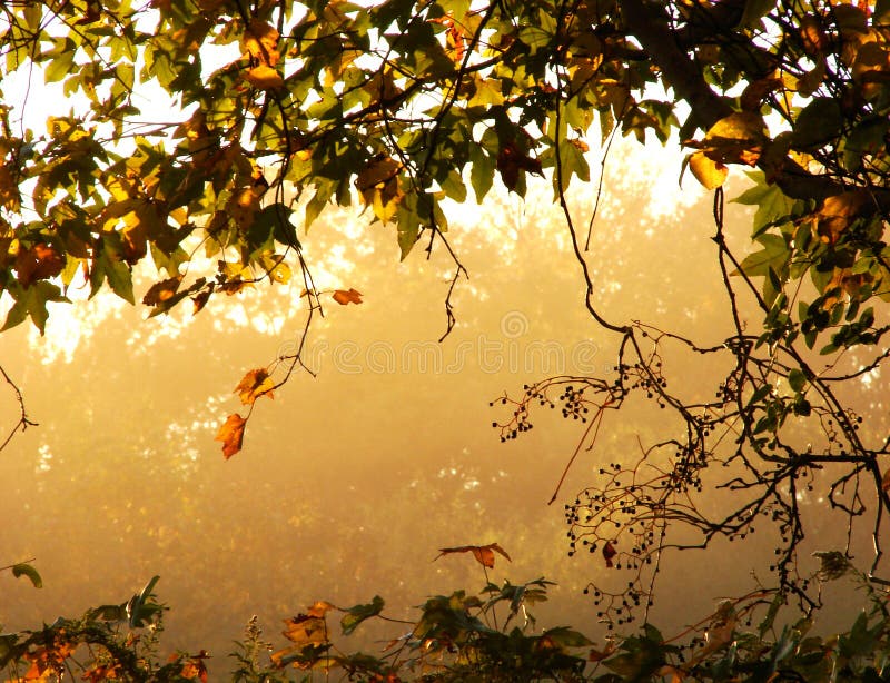 Fall-Landschaft lizenzfreie stockbilder Fall-Landschaft lizenzfreie stockbilder