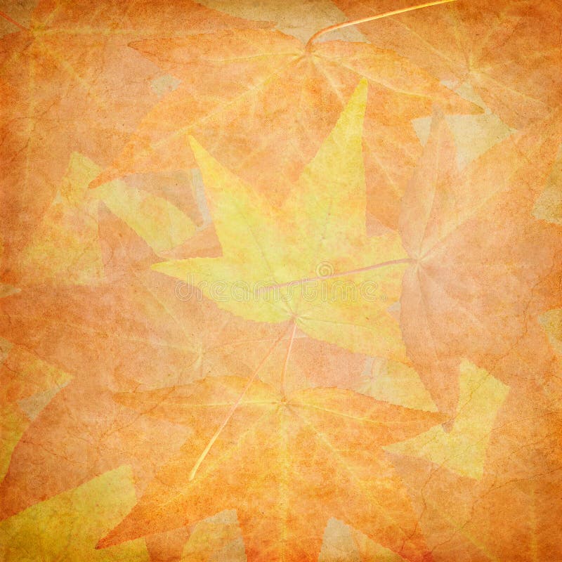 Fall Leaf Textures royalty free stock photography Fall Leaf Textures royalty free stock photography