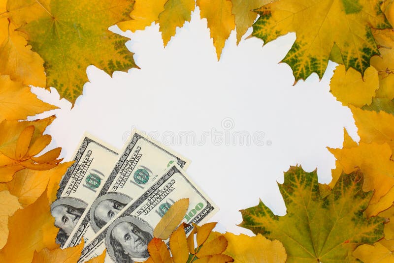 Fall leafs and money