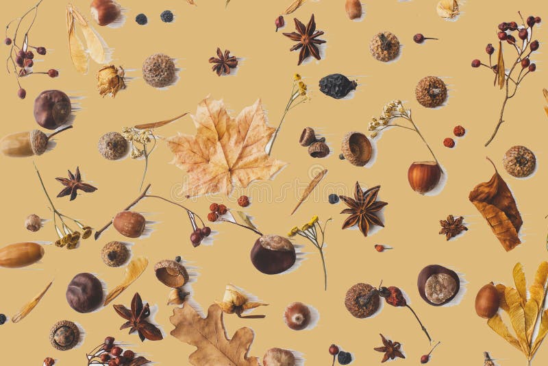 Hello Autumn. Fall leaves, berries, acorns, nuts, anise, chestnut and flowers on awkwardly painted brown background. Creative modern autumnal greeting card. Hello Autumn. Fall leaves, berries, acorns, nuts, anise, chestnut and flowers on awkwardly painted brown background. Creative modern autumnal greeting card