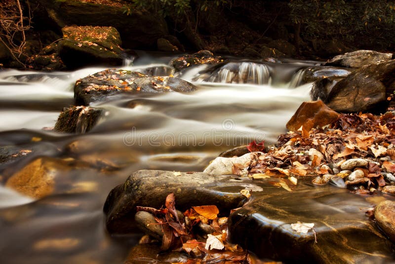 Fall leaves in the creek royalty free stock image