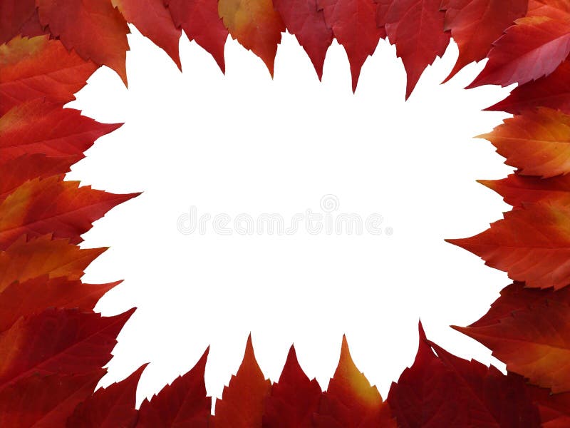 Fall leaves frame stock photo