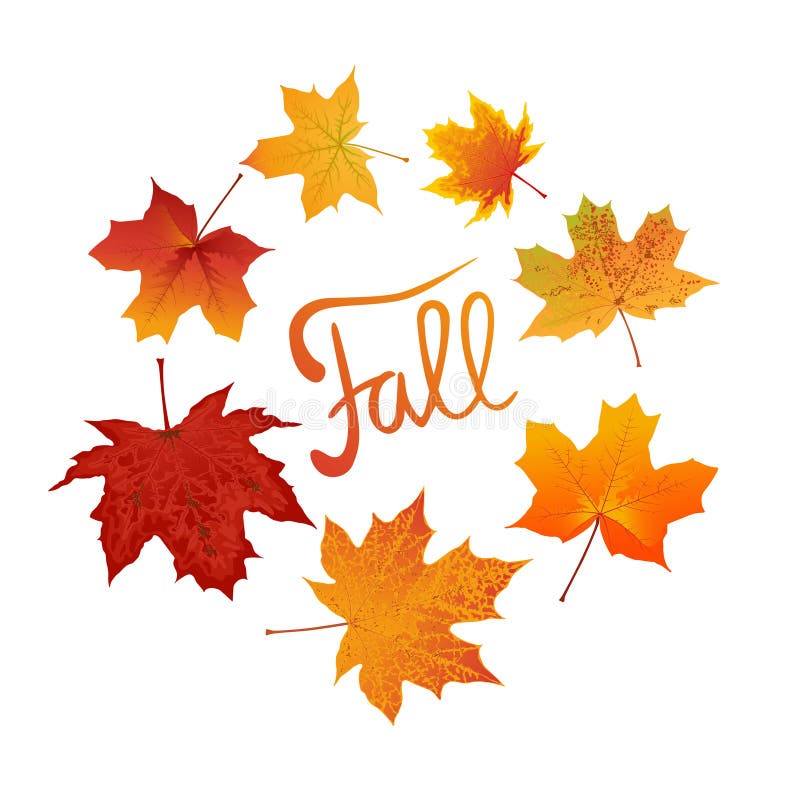 Fall lettering and maple leaves stock illustration