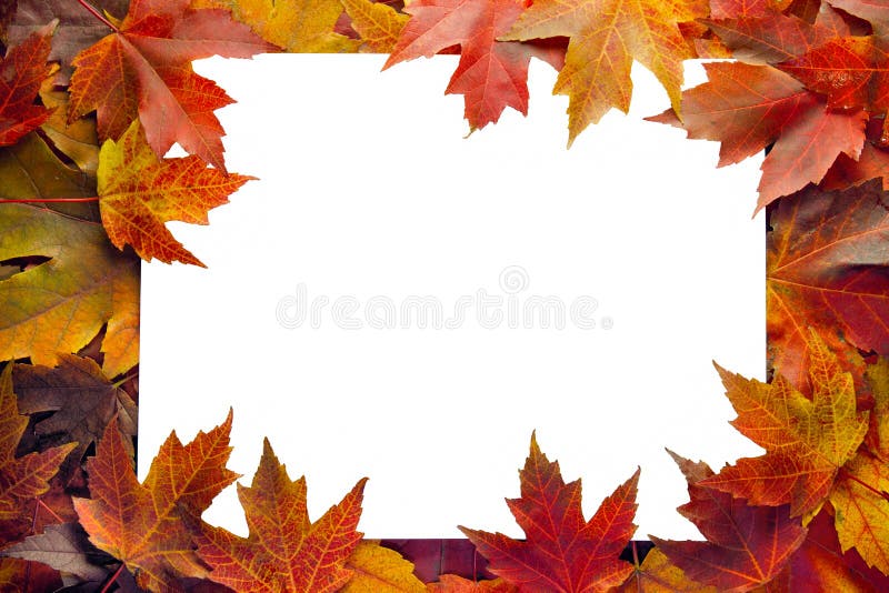 Fall Maple Leaves Border stock photography Fall Maple Leaves Border stock photography