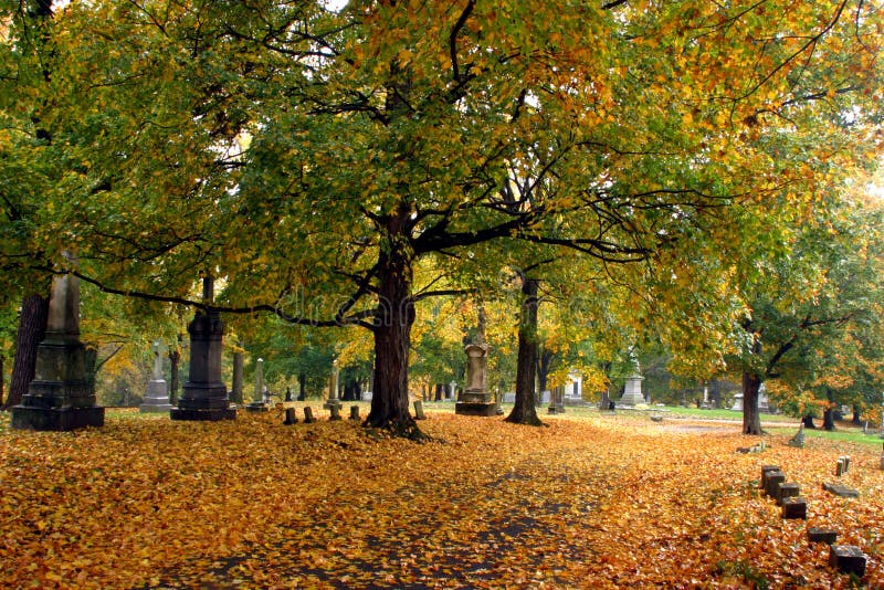 Fall in Mount Olivet Cemetery