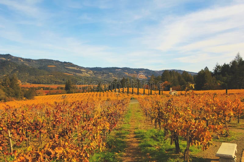 Fall Napa stock image. Image of leaves, fountain, country 188345425