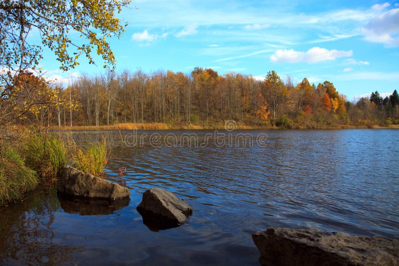 Fall pond stock photo