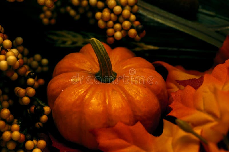 Fall - Pumpkin Arrangement