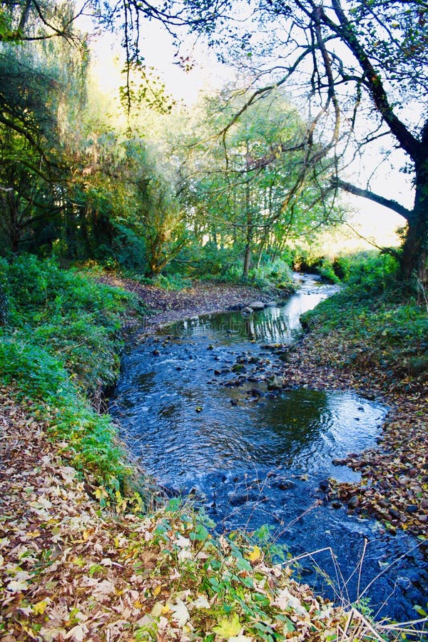 Fall river stock photo. Image of vivid, water, autumn 130004504