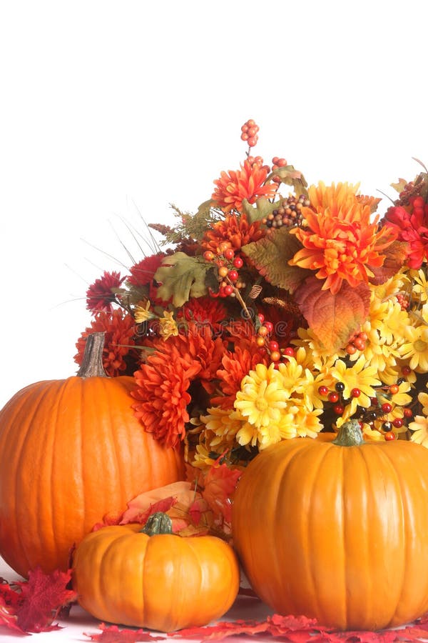 Fall Scene with Pumpkins on a Black Background Stock Photo - Image of ...