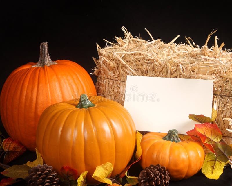 Three different size pumpkins, apples,pine cones and a bale of hay along with a blank messgae card make this a perfect fall scene. Fruit scene stock images, royalty-free photos and pictures