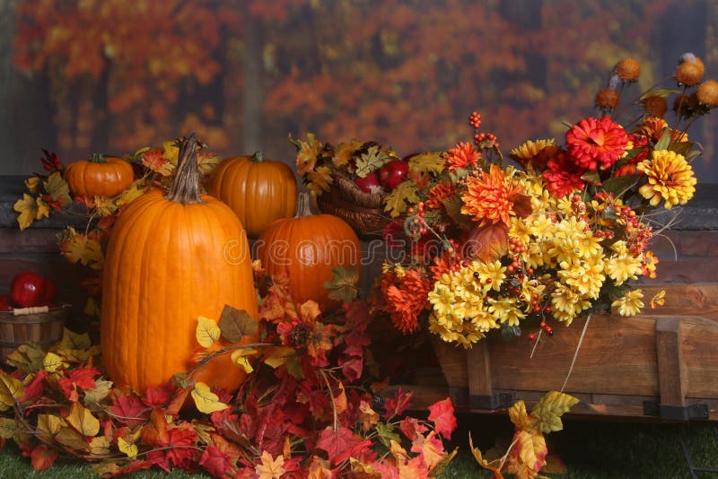 Fall scene with pumpkins and colored leaves