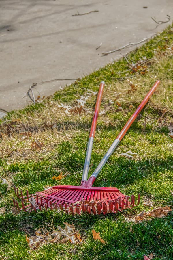 Fall scene - two leaf rakes lying on the ground with a few brown oak leaves left from cleaning up - selective focus stock photo Fall scene - two leaf rakes lying on the ground with a few brown oak leaves left from cleaning up - selective focus stock photo