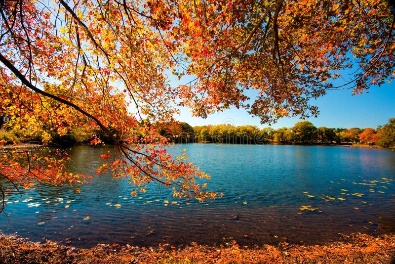 Season stock image. Image of tree, land, autumn, grass - 8269535