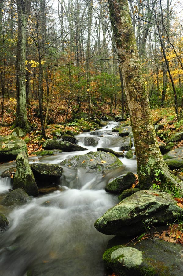 Fall in the smoky mountains