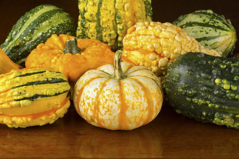 Fall Squash or Gourds in Closeup Stock Image Image of gourd