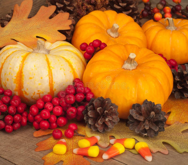 Fall Still Life with Pumpkins, Berries, and Corn Stock Photo - Image of ...