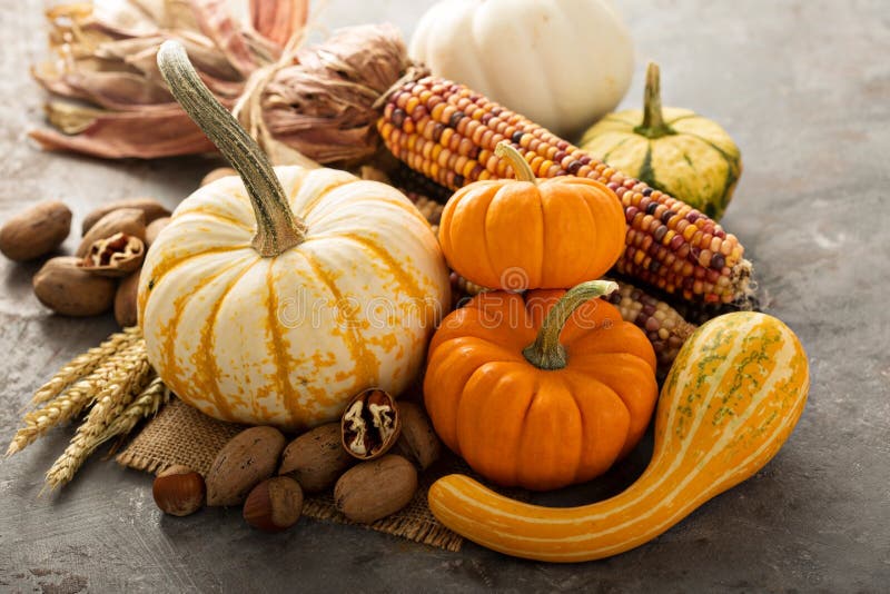 Fall Still Life with Pumpkins and Corn Stock Image - Image of gourd ...