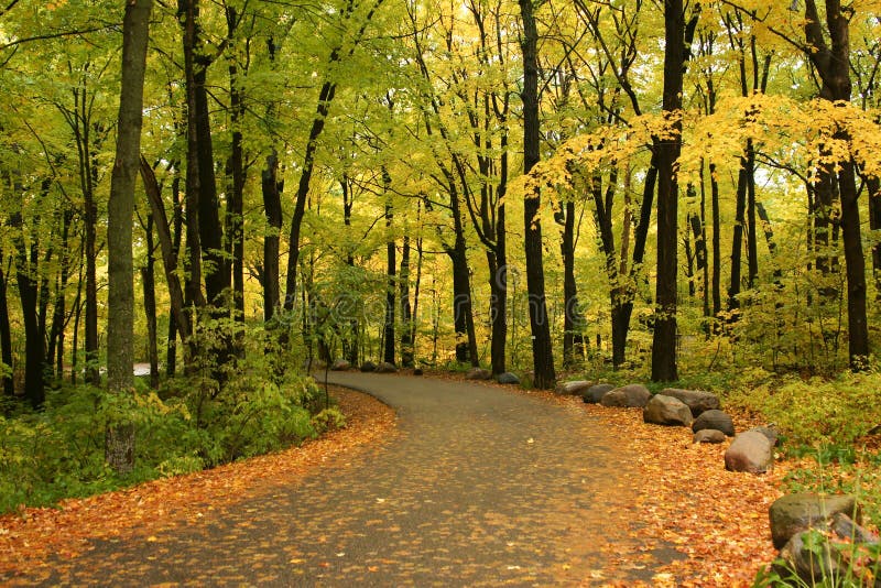 Fall-Straße stockbild