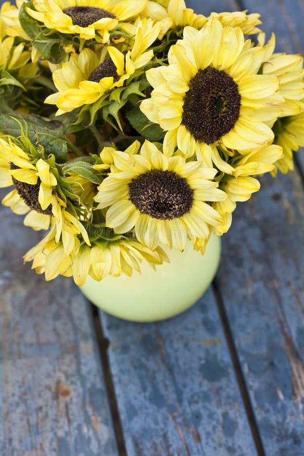 3,404 Sunflowers Vase Stock Photos Free & RoyaltyFree Stock Photos