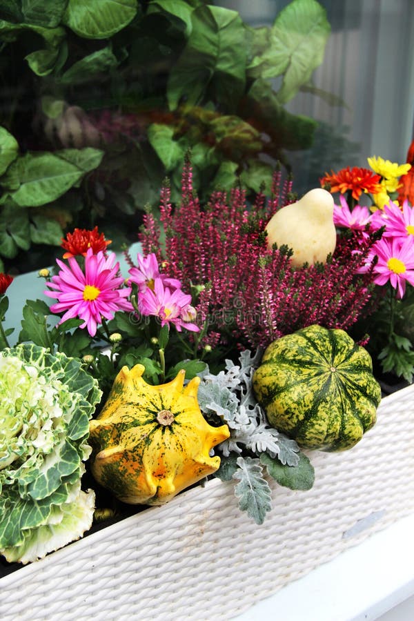 Fall Terrace Decorations With Lot Of Flowers And Other Decor Veg Stock Photo - Image of design ... Fall Terrace Decorations With Lot Of Flowers And Other Decor Veg Stock Photo - Image of design ... on Terrace Decoration With Plants
id=24366