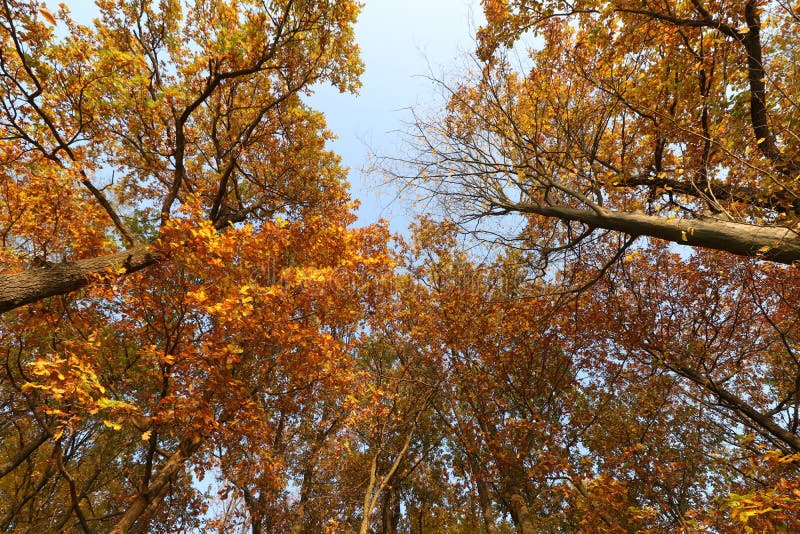 Fall time in slovakia